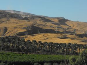 Israelsk bosetting i den okkuperte delen av Jordandalen. Foto: Ilana Skolnik