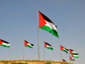 "Palestinian flag" (CC BY-NC 2.0) by scottgunn